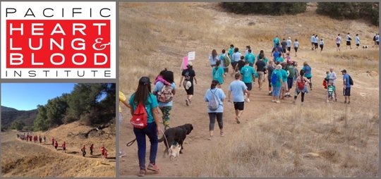 The Pacific Meso Center’s 11th Annual Walk/Hike