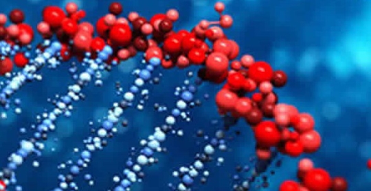 Non-small cell lung cancer