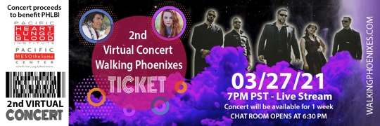 Virtual Concert poster