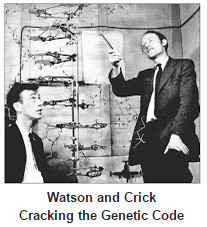 watson and crick