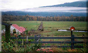 Barnes Farm in Randle, Washington