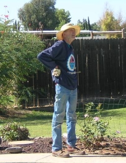 One of Marty's 36 rose bushes, October, 2007