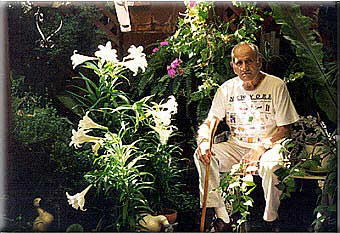 The Silvestro garden